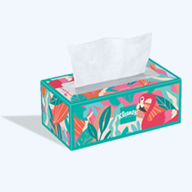 Tissue Box